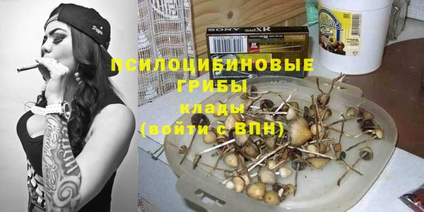a pvp Алзамай